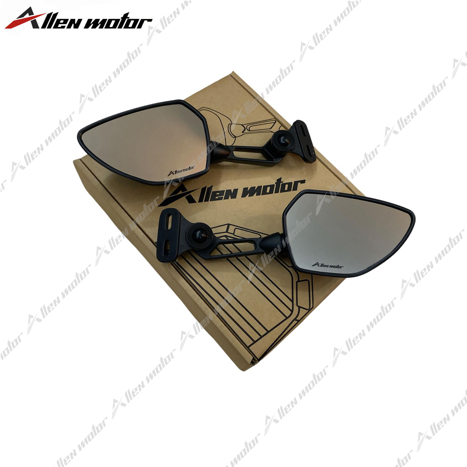 艾倫鯊魚雙孔白鏡